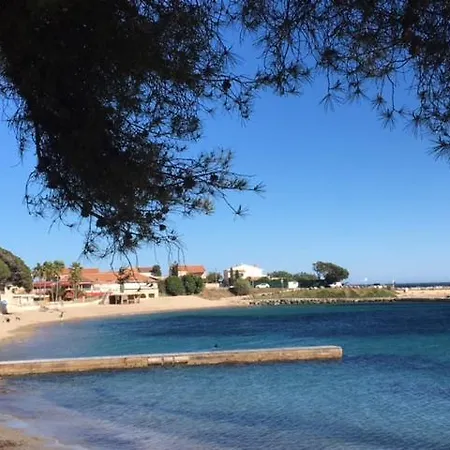 Vue Sur Le Golfe De St Tropez 雷以桑布尔