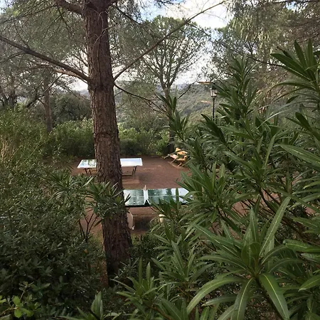 Apartman Classe 2 Etoiles, Rez De Jardin Vue Sur Le Golfe De St Tropez *